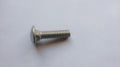 1" Stainless Steel 1/4-20 Carriage Bolt